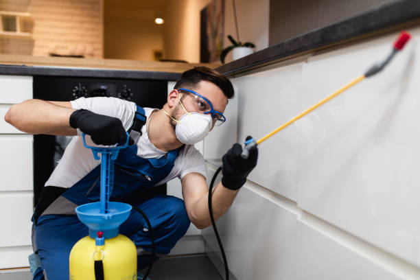 Best Pest Control for Businesses  in Mcconnelsville, OH