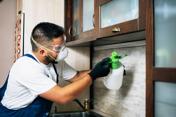 Best Pest Control for Restaurants  in Mcconnelsville, OH