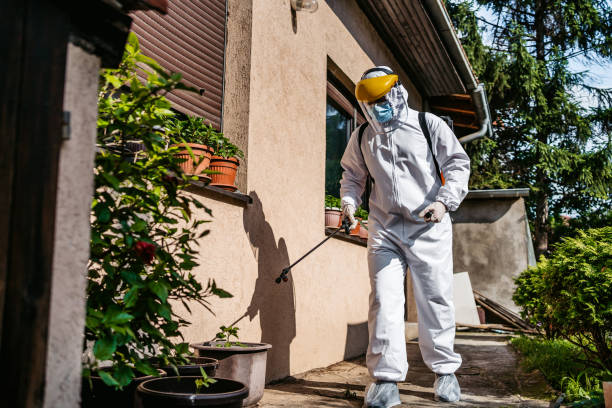 Best Mosquito Control Services  in Mcconnelsville, OH