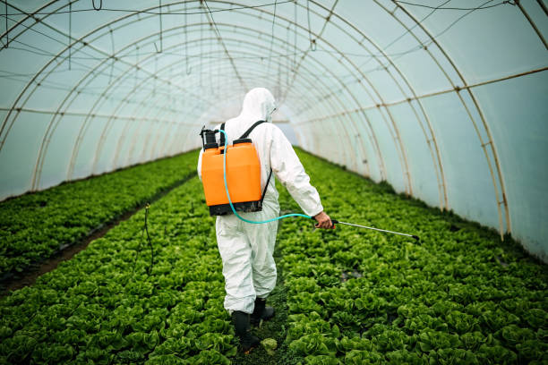 Best Emergency Pest Control  in Mcconnelsville, OH