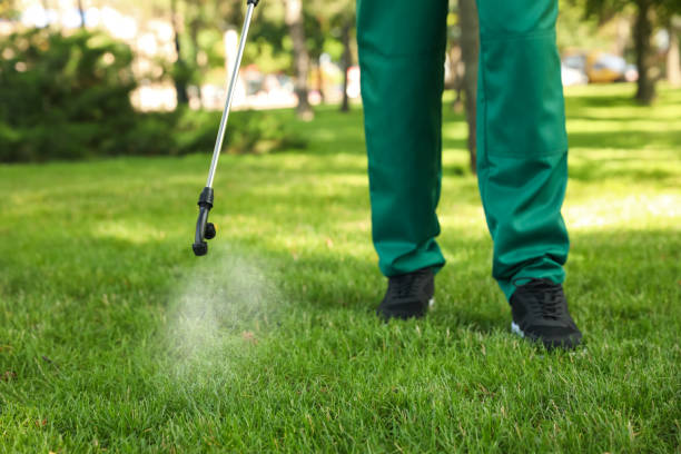 Best Termite Control Services  in Mcconnelsville, OH