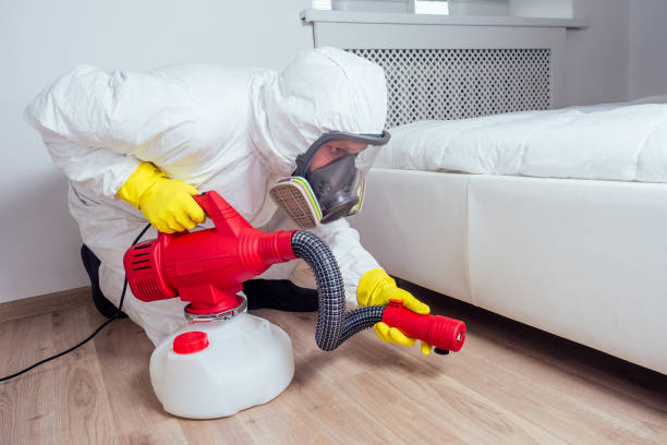 Best Emergency Pest Control  in Mcconnelsville, OH