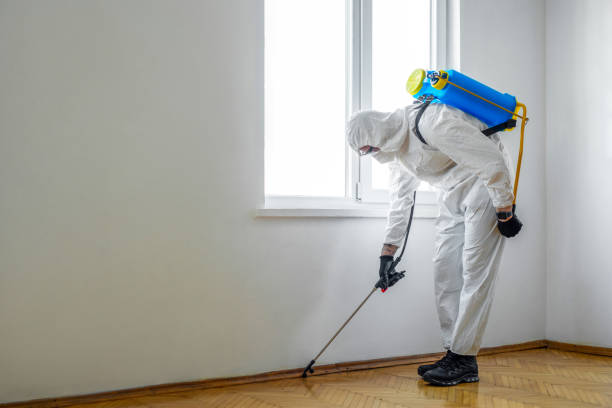 Best Bed Bug Extermination  in Mcconnelsville, OH