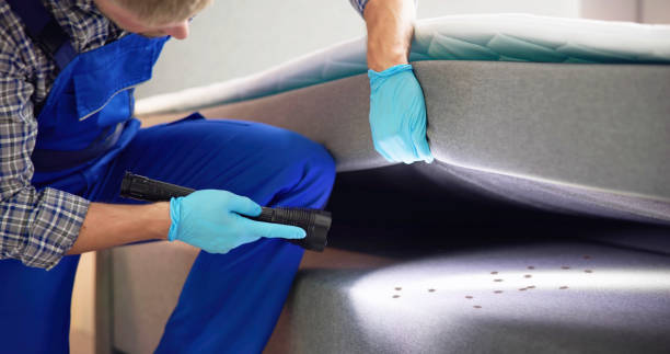 Best Pest Removal Services  in Mcconnelsville, OH