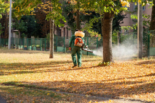 Best Pest Prevention Services  in Mcconnelsville, OH