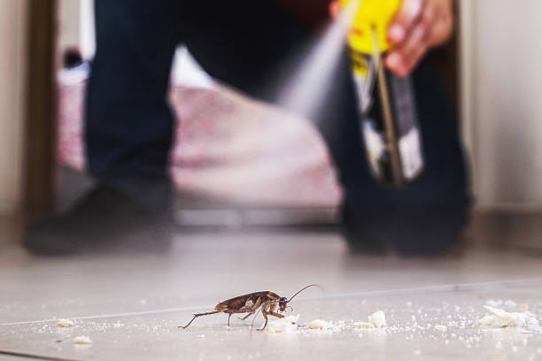 Best Cockroach Control Services  in Mcconnelsville, OH