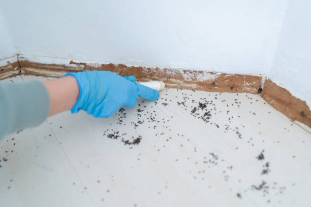 Best Affordable Pest Control Services  in Mcconnelsville, OH