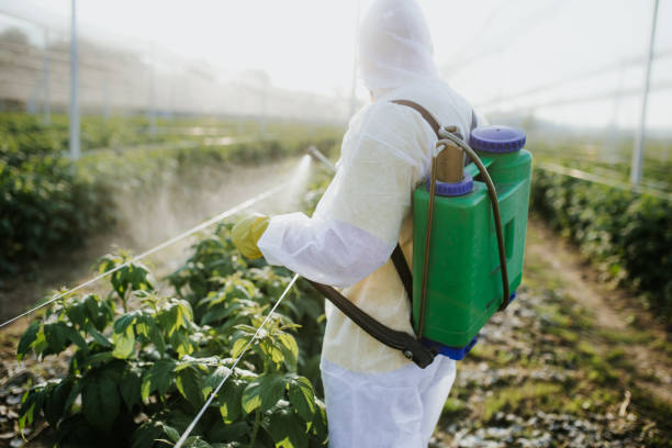 Best Ant Control Services  in Mcconnelsville, OH